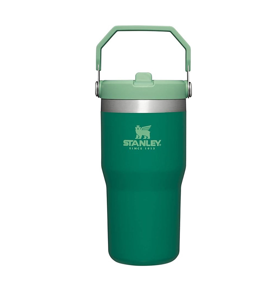 Stanley The Iceflow™ Flip Straw Tumbler | 20 OZ - Alpine 10-09994-136