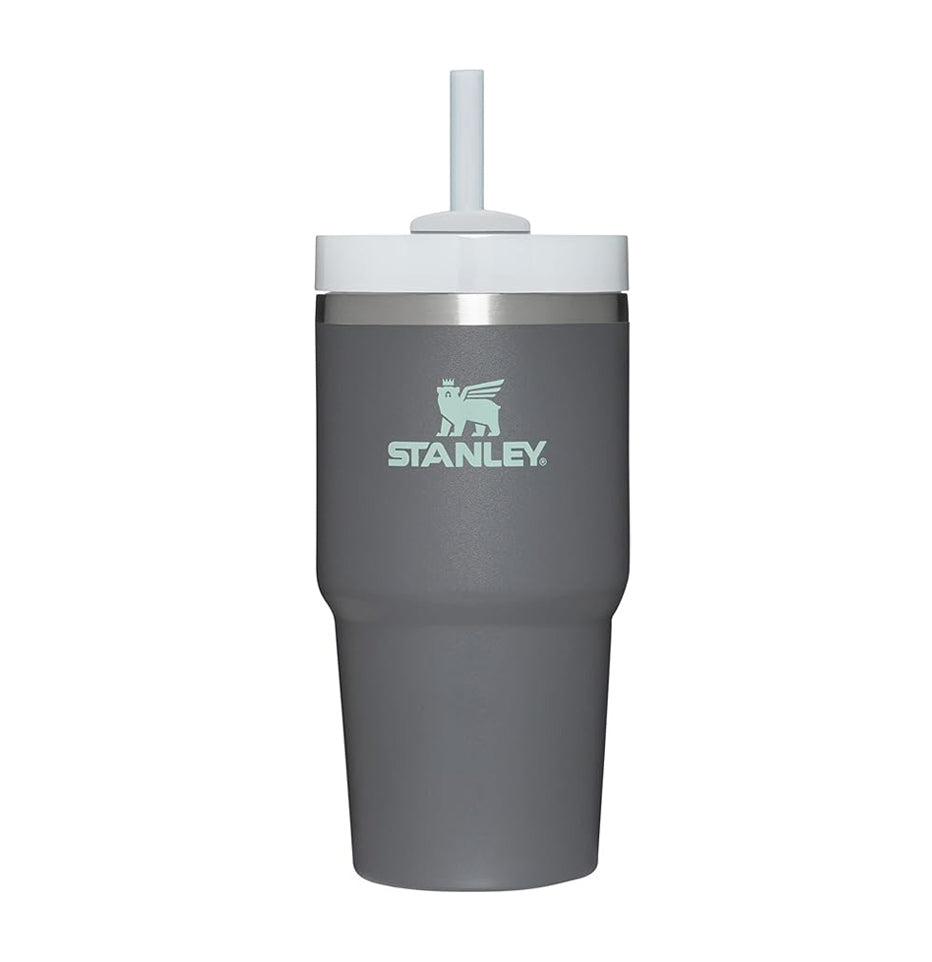 Stanley The Quencher H2.0 Flowstate™ Tumbler | 20 OZ - Charcoal 10-10826-023