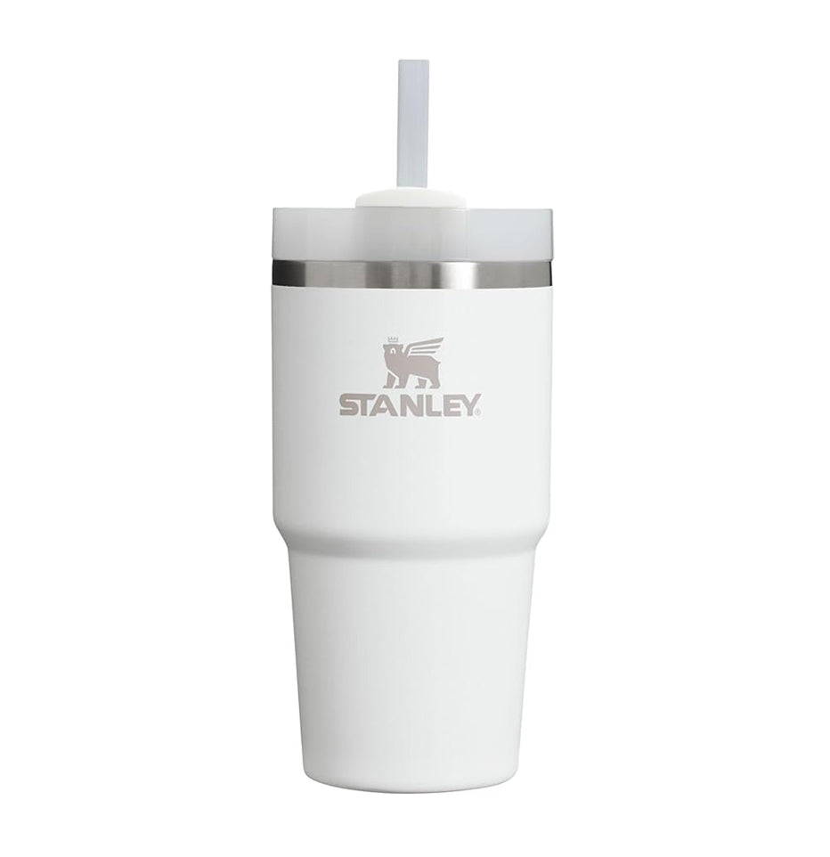 Stanley The Quencher H2.0 Flowstate™ Tumbler | 20 OZ - Frost 10-10826-145