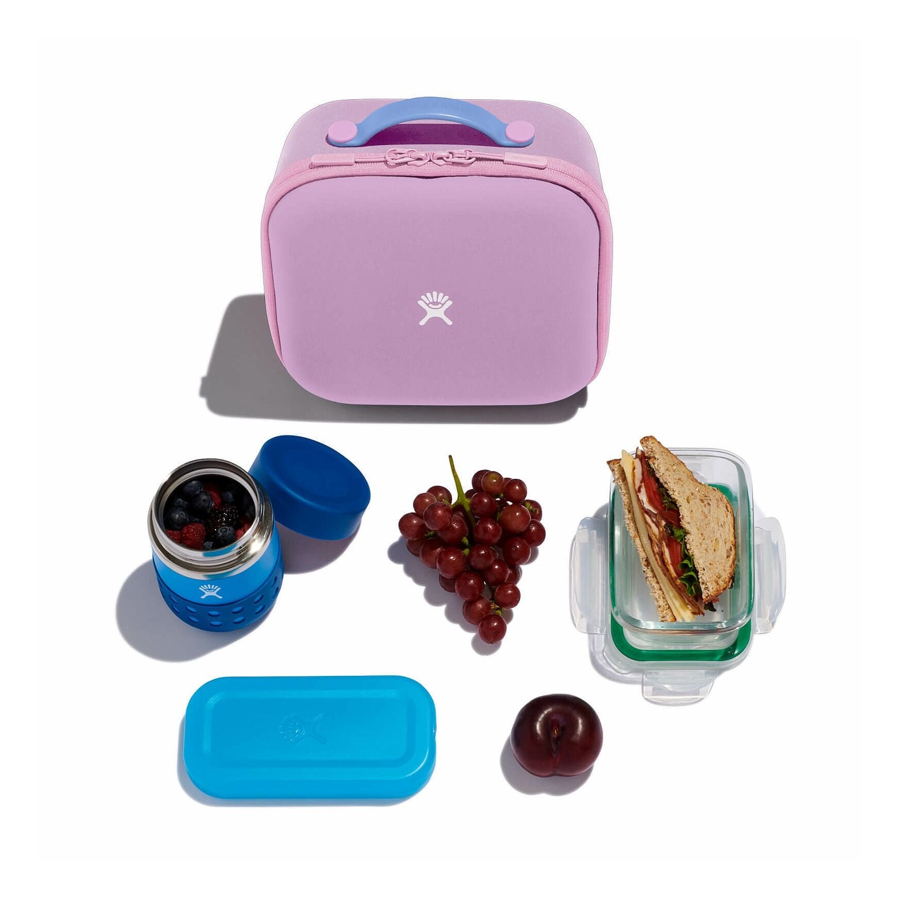 Hydroflask Kids small Insulated Lunch Box | Anemone KLB513